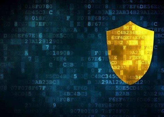 信息安全保障服务